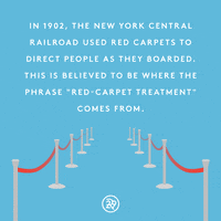 GIF by Refinery 29 GIFs
