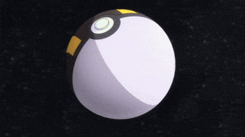 Catch Em All Slow Motion GIF by Pokémon