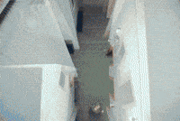 Look At Me GIF by ALLDAY PROJECT