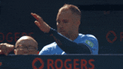 Blue Jays Dancing GIF by Toronto Blue Jays