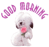 tuesday STICKER