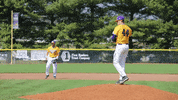 baseball college GIF by Western Illinois University