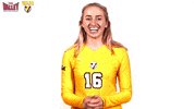 The Valley Mvc GIF by Missouri Valley Conference