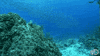 tv series television GIF