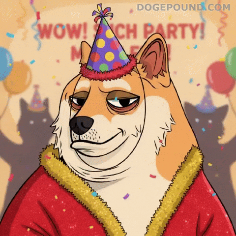 Shiba Inu Wow GIF by Doge Pound