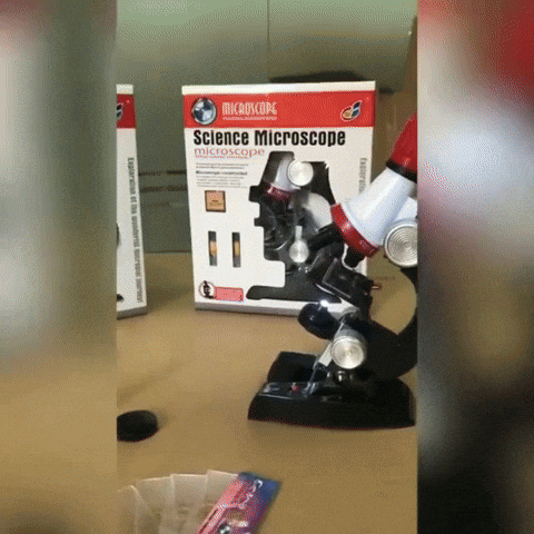 geeon giphyupload GIF