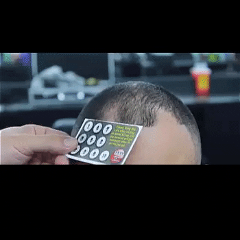 Tafest giphygifmaker GIF