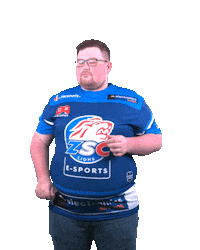 Happy Nhl Sticker by ZSC Esports