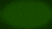 Yaz Sohs GIF