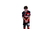 Dance Celebration Sticker by Eintracht Frankfurt