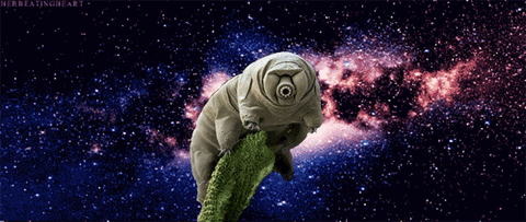GIF by Canek