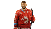 Ice Hockey Sticker Sticker by HC Oceláři Třinec