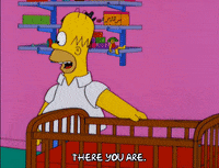 homer simpson episode 6 GIF