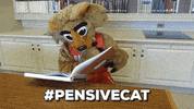 reading studying GIF by Davidson College