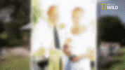 dr pol marriage GIF by Nat Geo Wild 