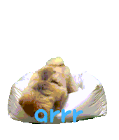 아르르 Sticker by arrr_official