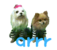 아르르 Sticker by arrr_official