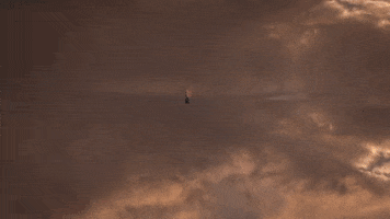 Dave Meyers GIF by P!NK