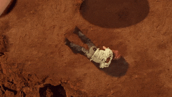 Dave Meyers GIF by P!NK