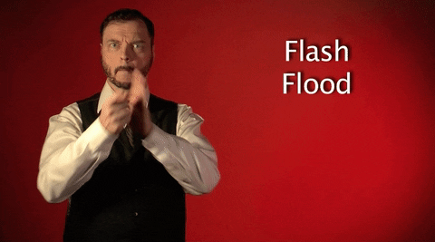 sign language flash flood GIF by Sign with Robert