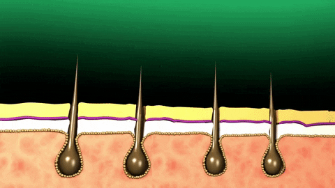 BestProducts2020 giphyupload GIF