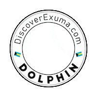 National Geographic Travel Sticker by papayahouseexuma