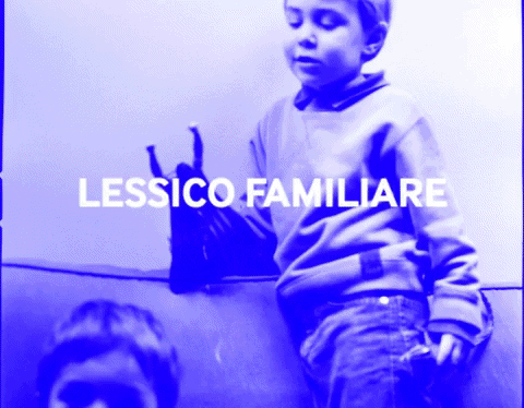 stevebisson giphygifmaker GIF