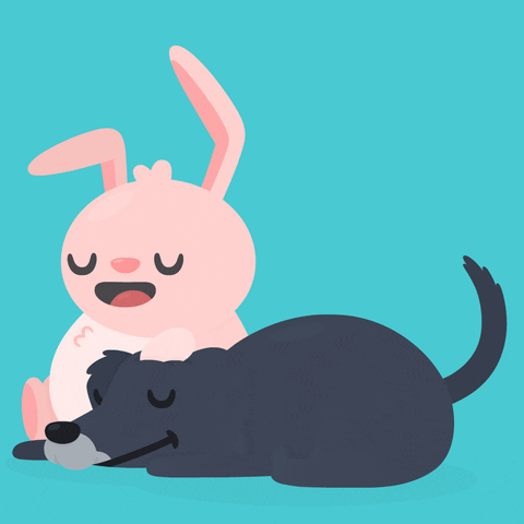 Dog Relax GIF by Hopper