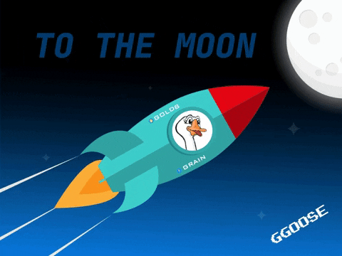 ggoose_nft giphygifmaker to the moon goose grain GIF