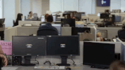 the rundown e GIF by erinlim