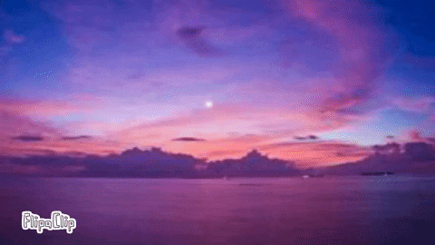 Shadow_Cindy giphygifmaker GIF