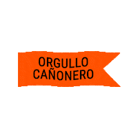 elcanonazo elcanonazo n37 Sticker