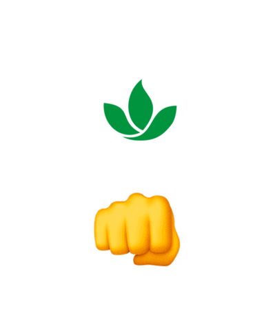 casabugre_ giphyupload casabugre casa bugre Sticker