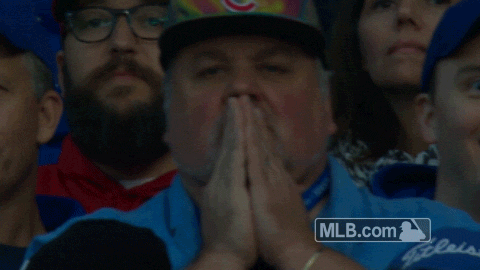 cubs GIF