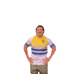 rugbybrasil giphyupload sport brasil rugby Sticker