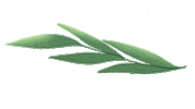Taylor Swift Willow Sticker