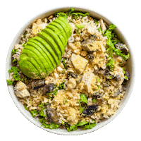Sticker by Avocaderia