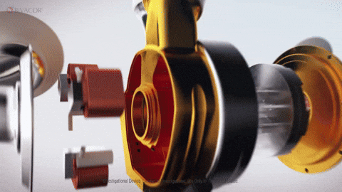 paigecockburn giphyupload GIF