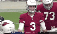 2018 Nfl Football GIF by NFL