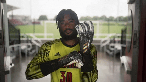 University Of Louisville Go Cards GIF by Louisville Cardinals
