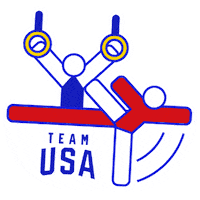 Olympic Games Summer Sticker by Team USA