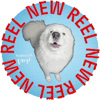 Reel Haul Sticker