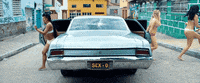 sexo GIF by Residente