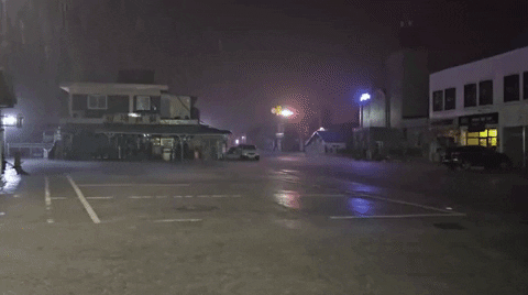 bongjunjeong giphyupload GIF