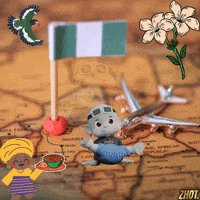 Nigeria Naija GIF by Zhot