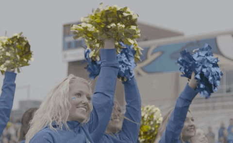 ncaa sports football GIF by Delaware Blue Hens