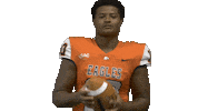 Football Celebration Sticker by Carson-Newman Athletics