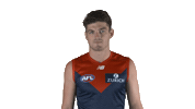 melbourne football club wink Sticker by Melbournefc
