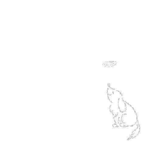 Dog 走る Sticker