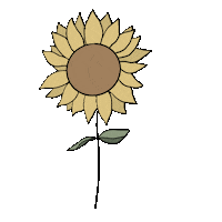 Summer Flower Sticker by DilleKamille
